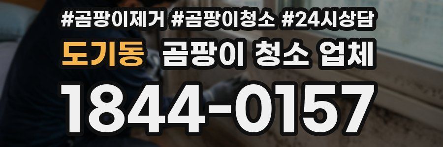 도기동 곰팡이 청소 업체