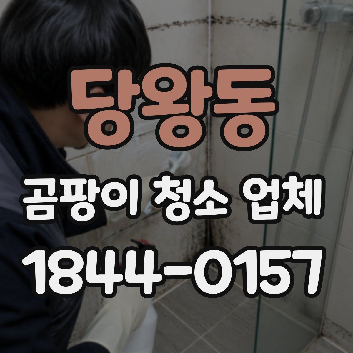 당왕동 곰팡이 청소 업체 장마철 실내 습도가 높을 때 대비하는 방법