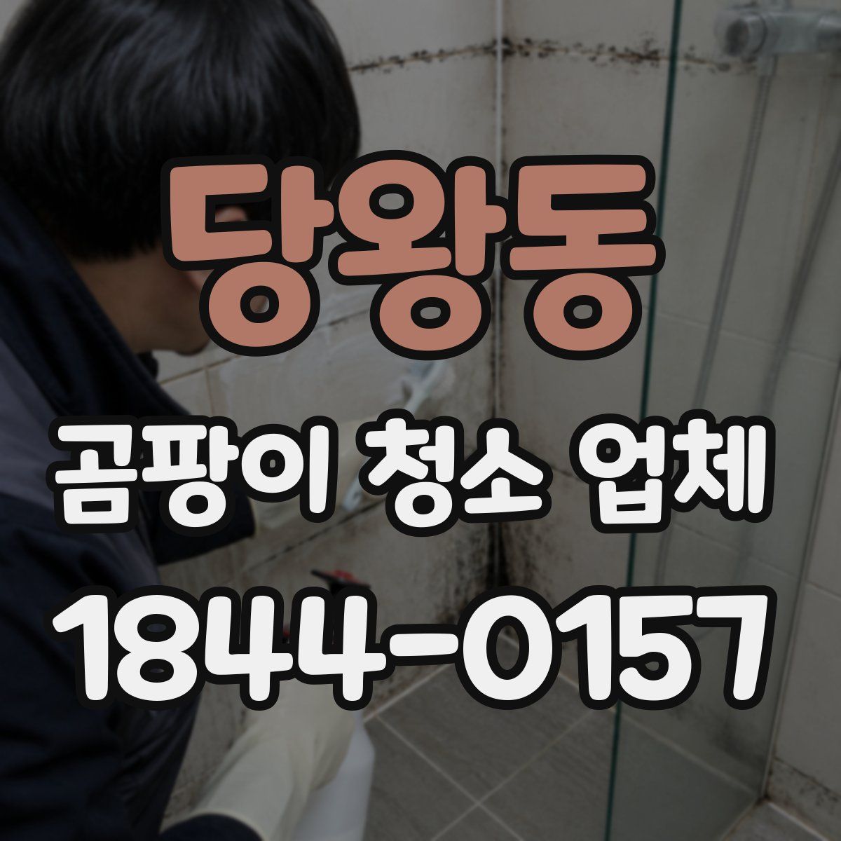 당왕동 곰팡이 청소 업체