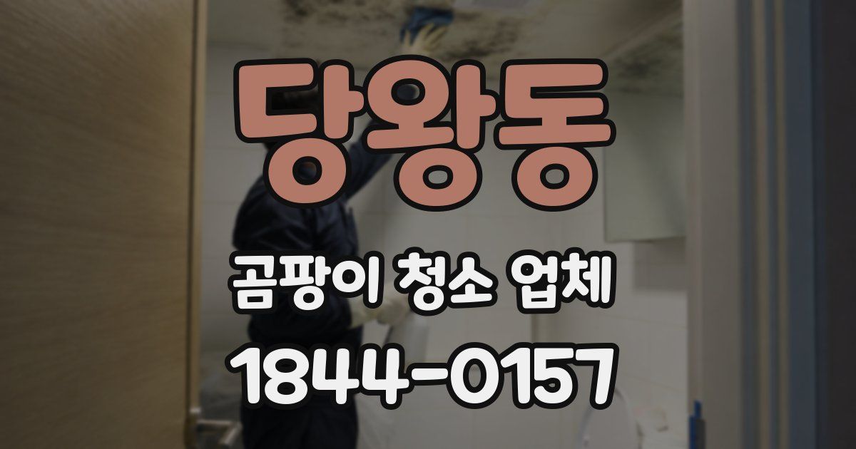 당왕동 곰팡이 청소 업체