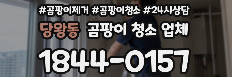 당왕동 곰팡이 청소 업체
