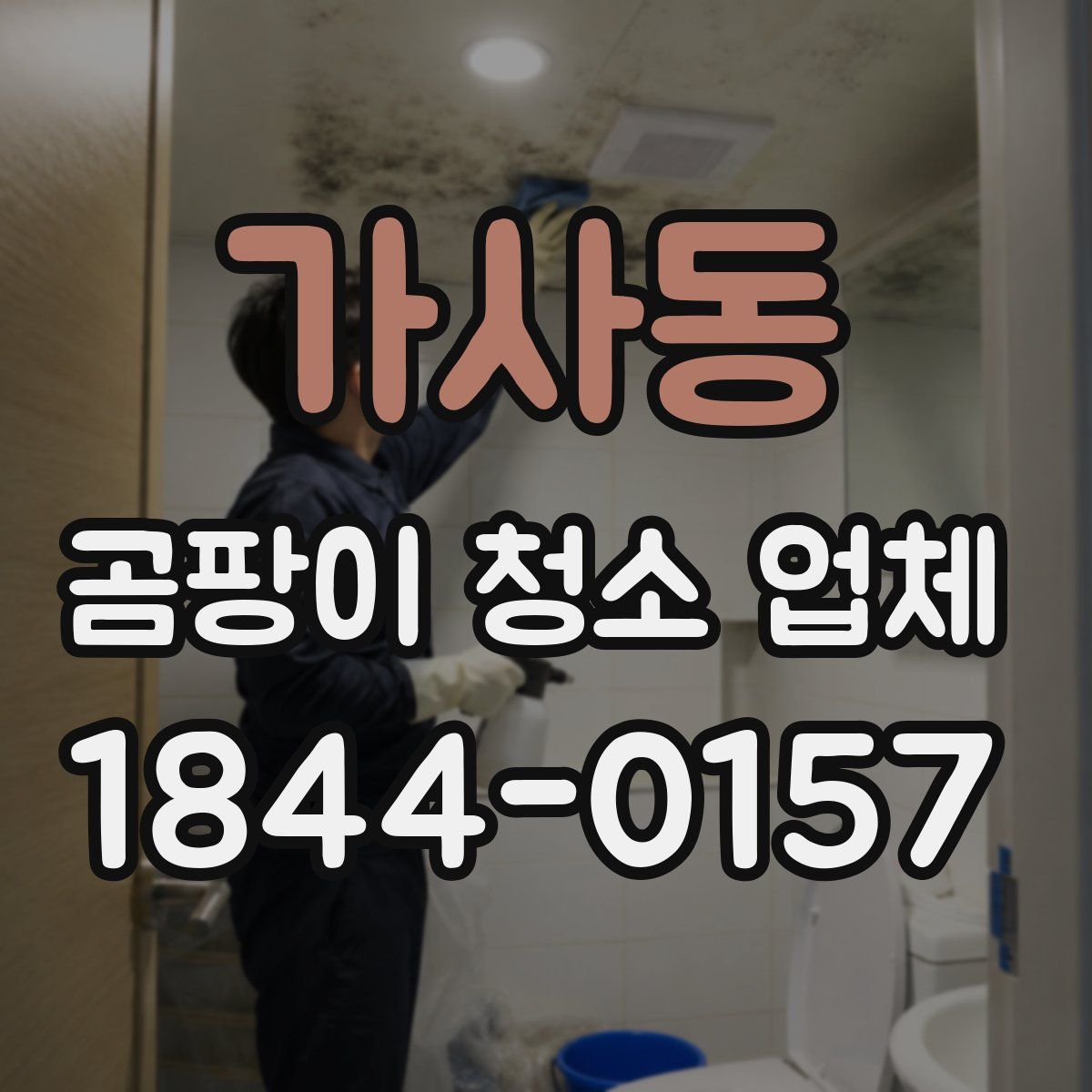 가사동 곰팡이 청소 업체