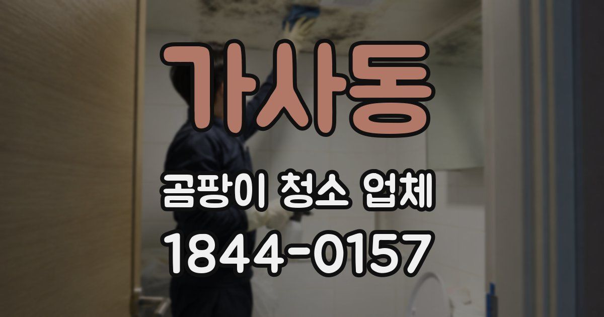 가사동 곰팡이 청소 업체
