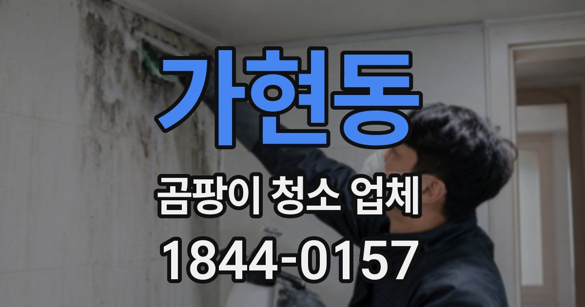 가현동 곰팡이 청소 업체