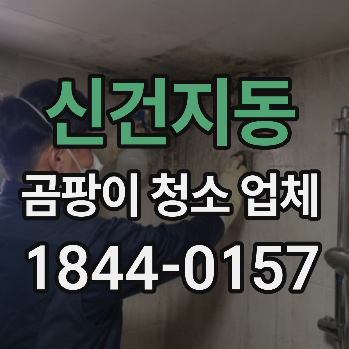 신건지동 곰팡이 청소 업체 침구와 패브릭 오염을 줄이는 현장 대응