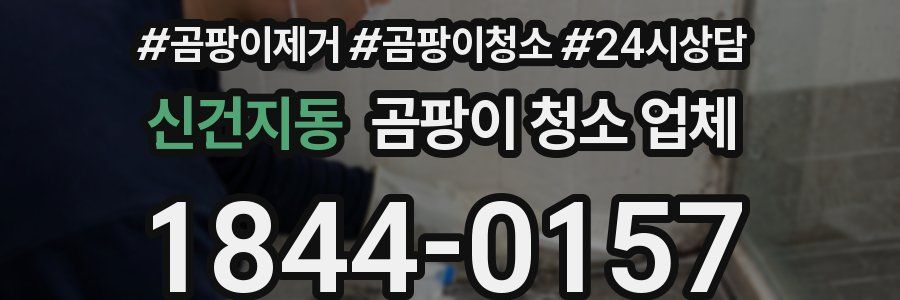 신건지동 곰팡이 청소 업체