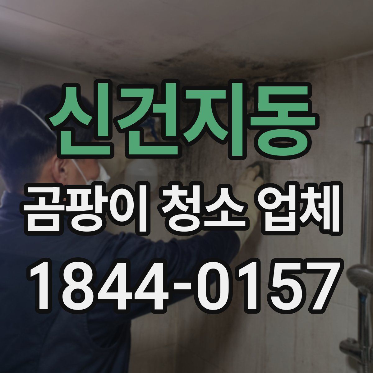 신건지동 곰팡이 청소 업체