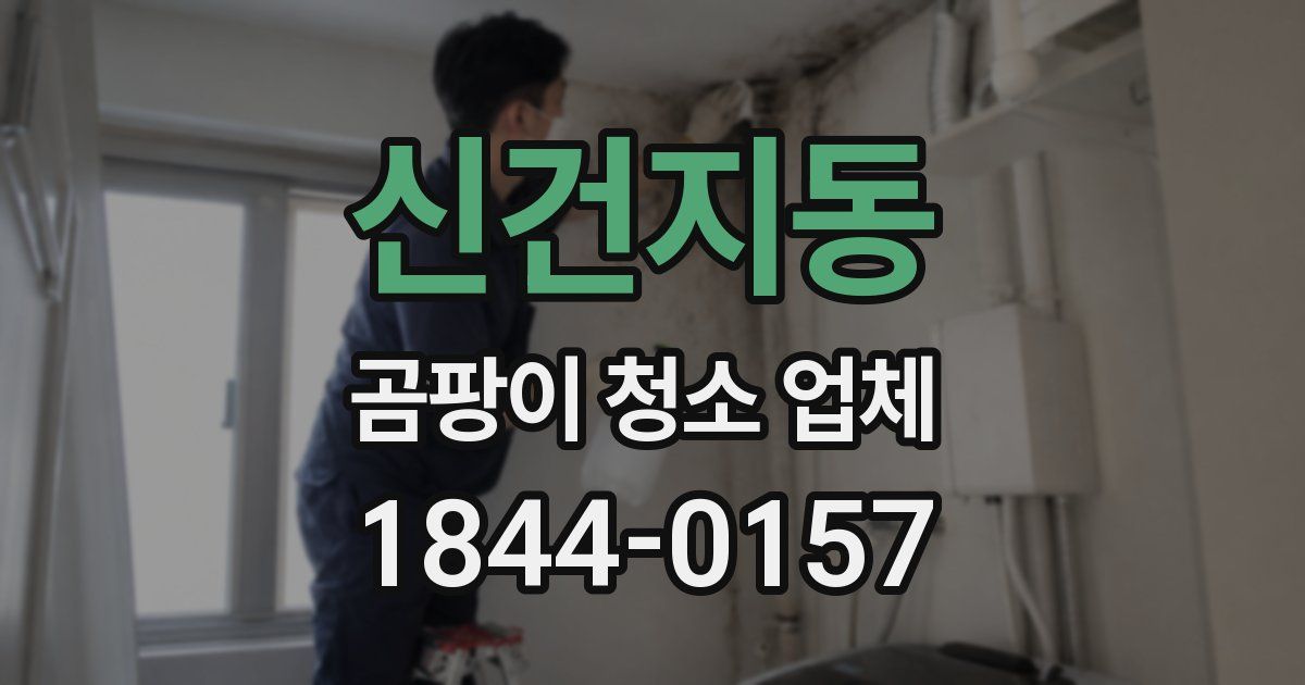 신건지동 곰팡이 청소 업체