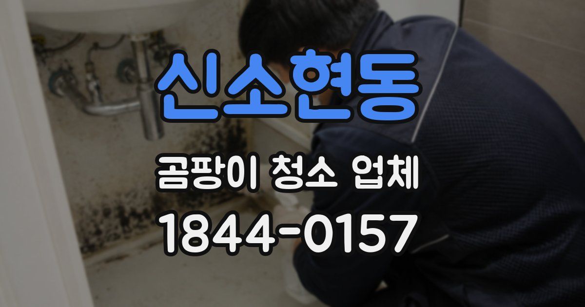 신소현동 곰팡이 청소 업체