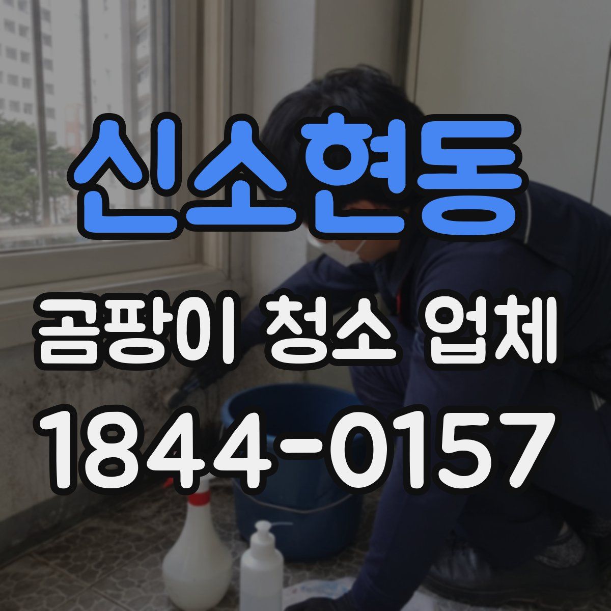 신소현동 곰팡이 청소 업체