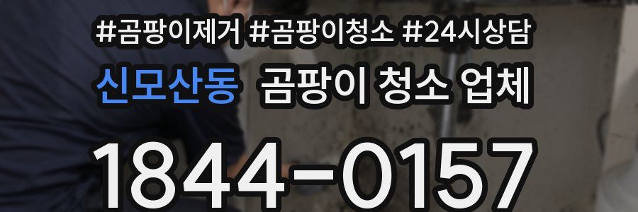 신모산동 곰팡이 청소 업체