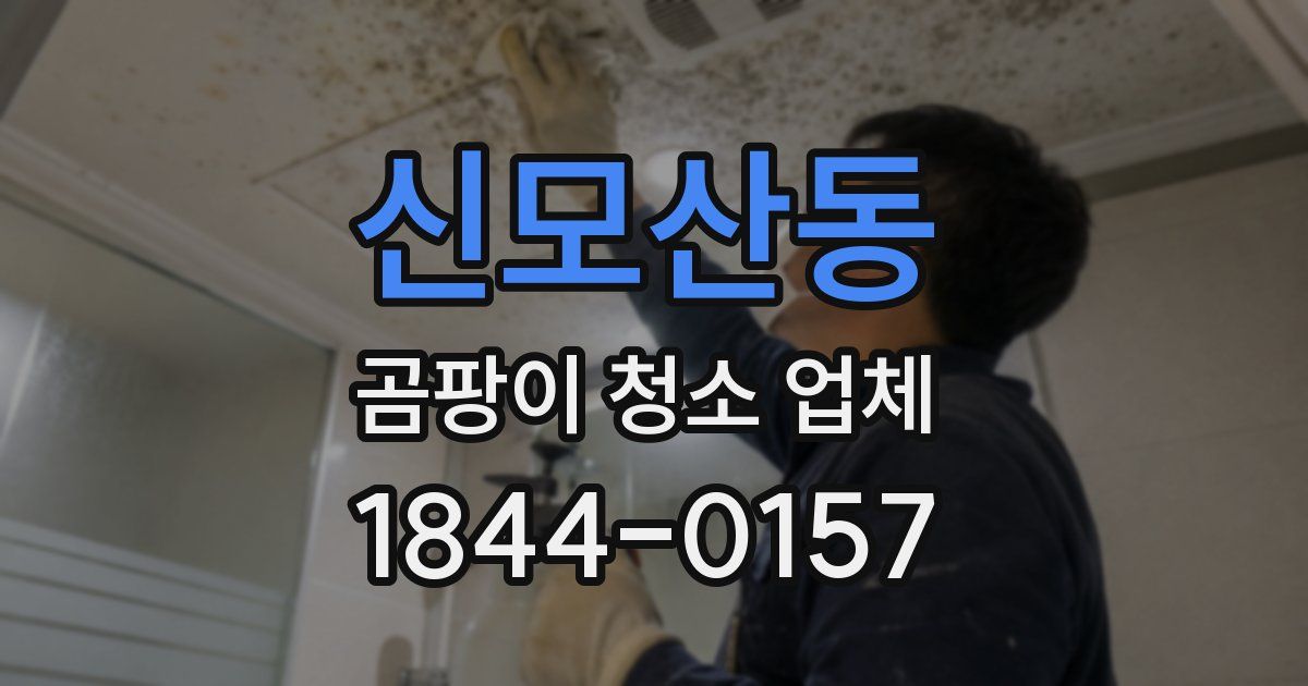 신모산동 곰팡이 청소 업체