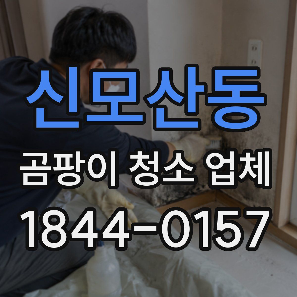 신모산동 곰팡이 청소 업체