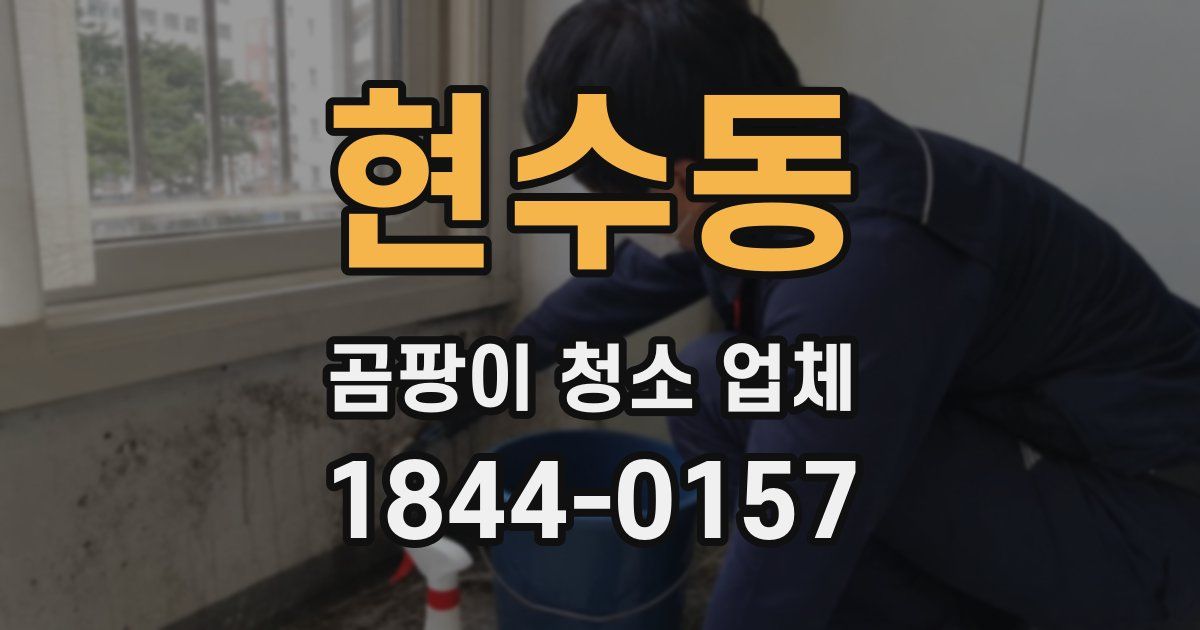현수동 곰팡이 청소 업체