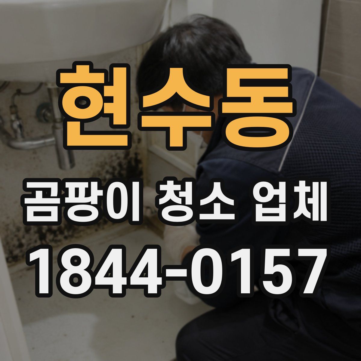 현수동 곰팡이 청소 업체