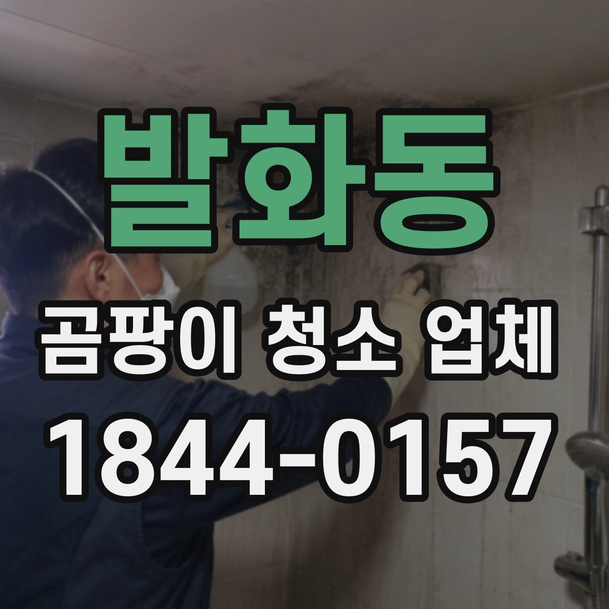 발화동 곰팡이 청소 업체