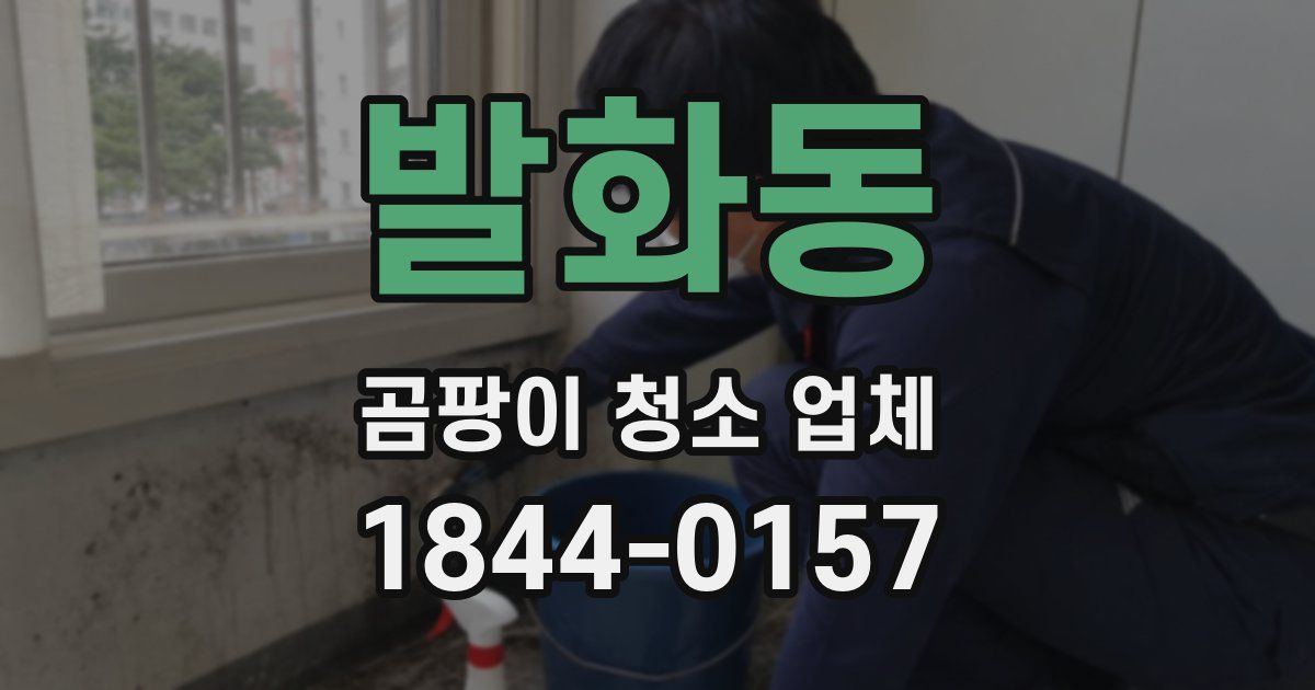 발화동 곰팡이 청소 업체