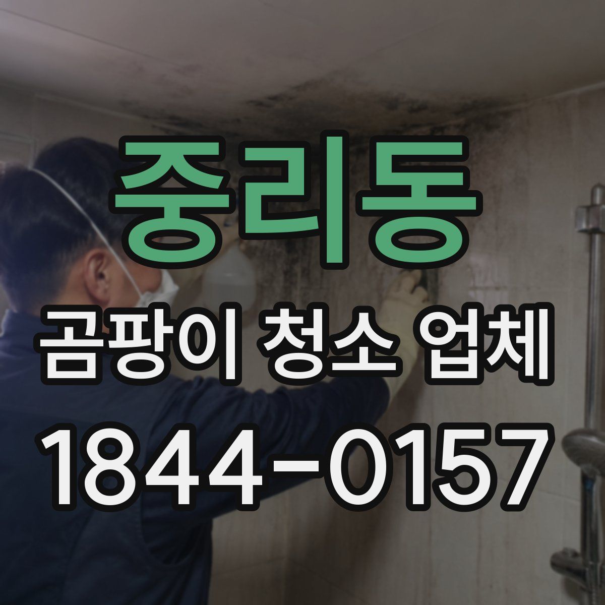 중리동 곰팡이 청소 업체