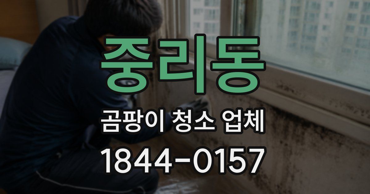 중리동 곰팡이 청소 업체