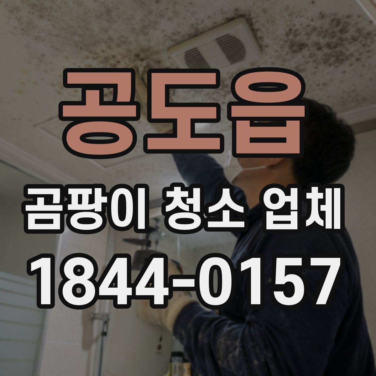 공도읍 곰팡이 청소 업체