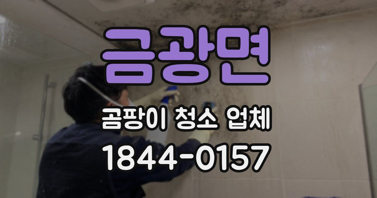 금광면 곰팡이 청소 업체