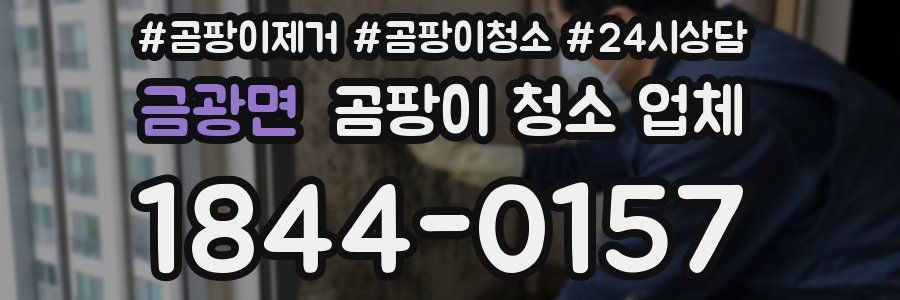 금광면 곰팡이 청소 업체