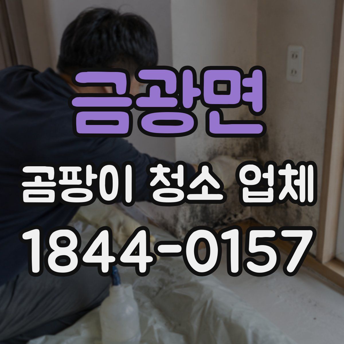 금광면 곰팡이 청소 업체