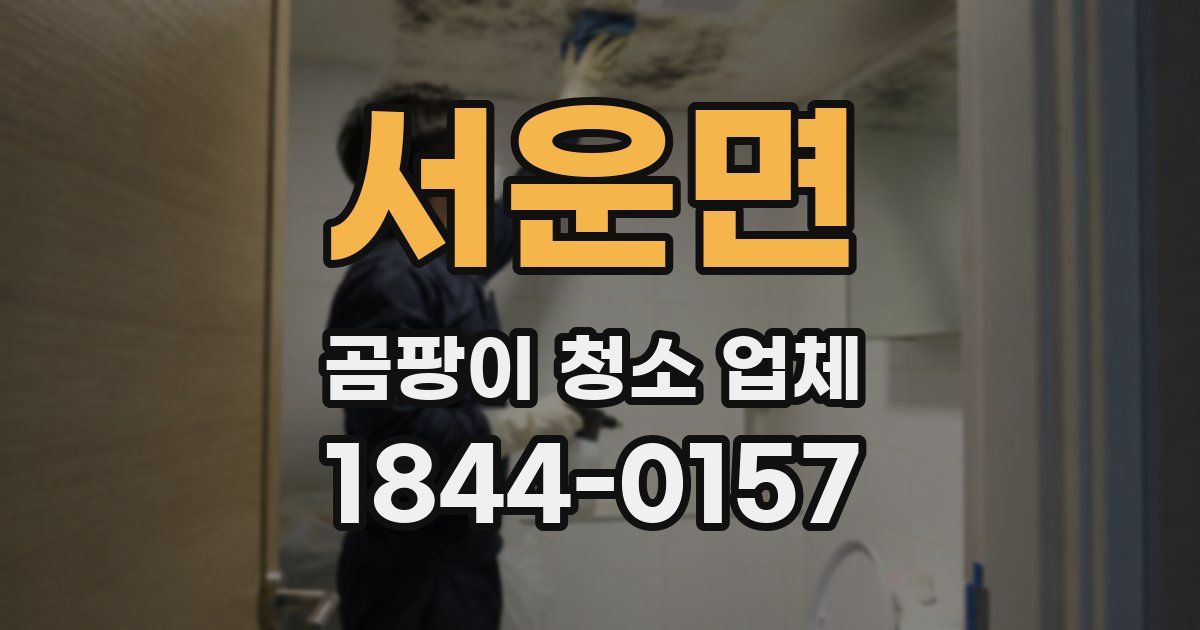 서운면 곰팡이 청소 업체