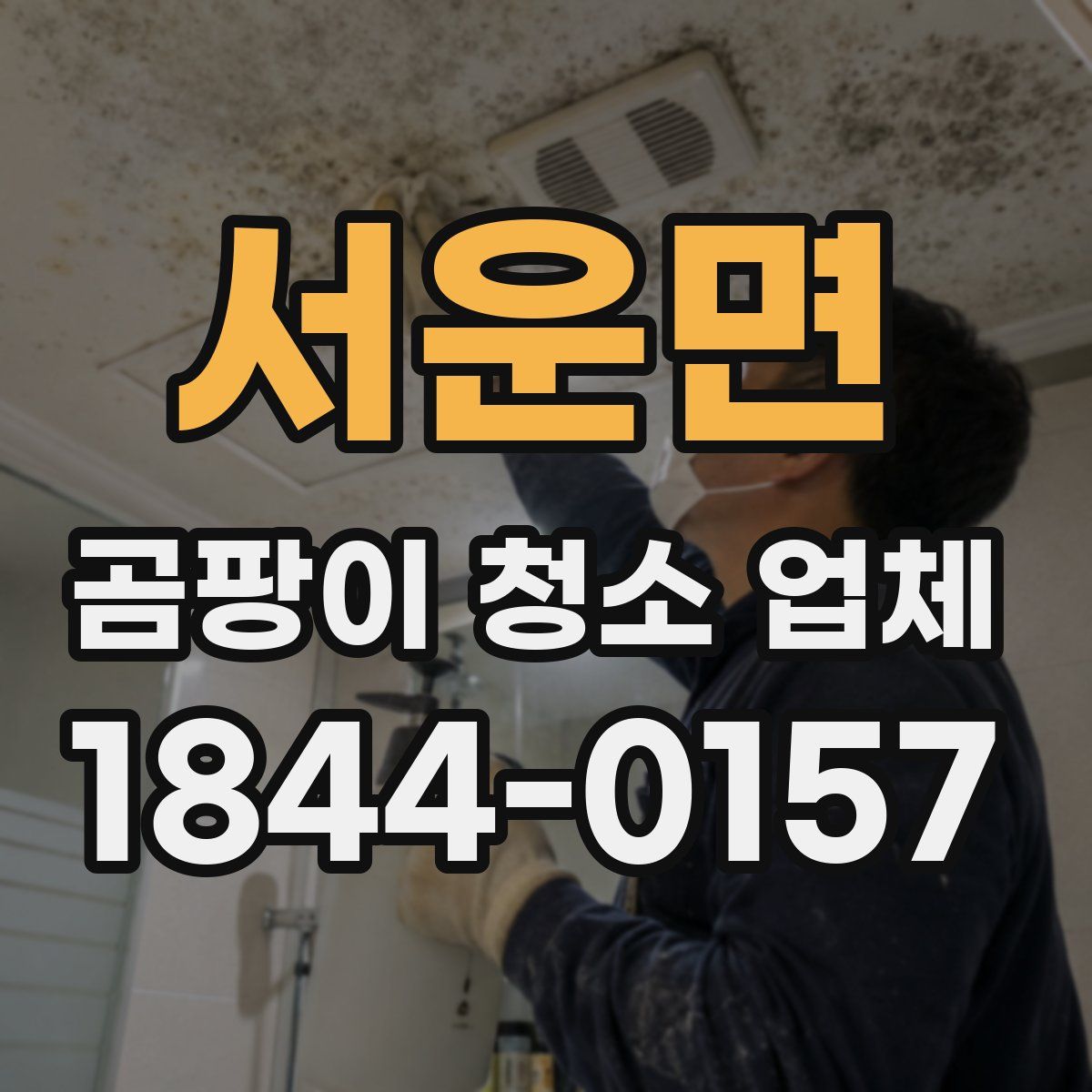 서운면 곰팡이 청소 업체