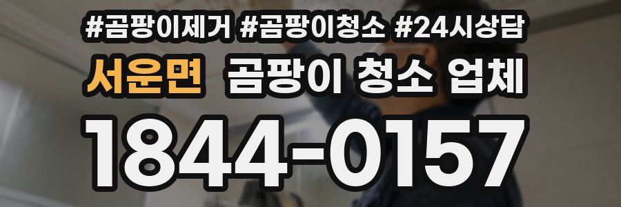 서운면 곰팡이 청소 업체