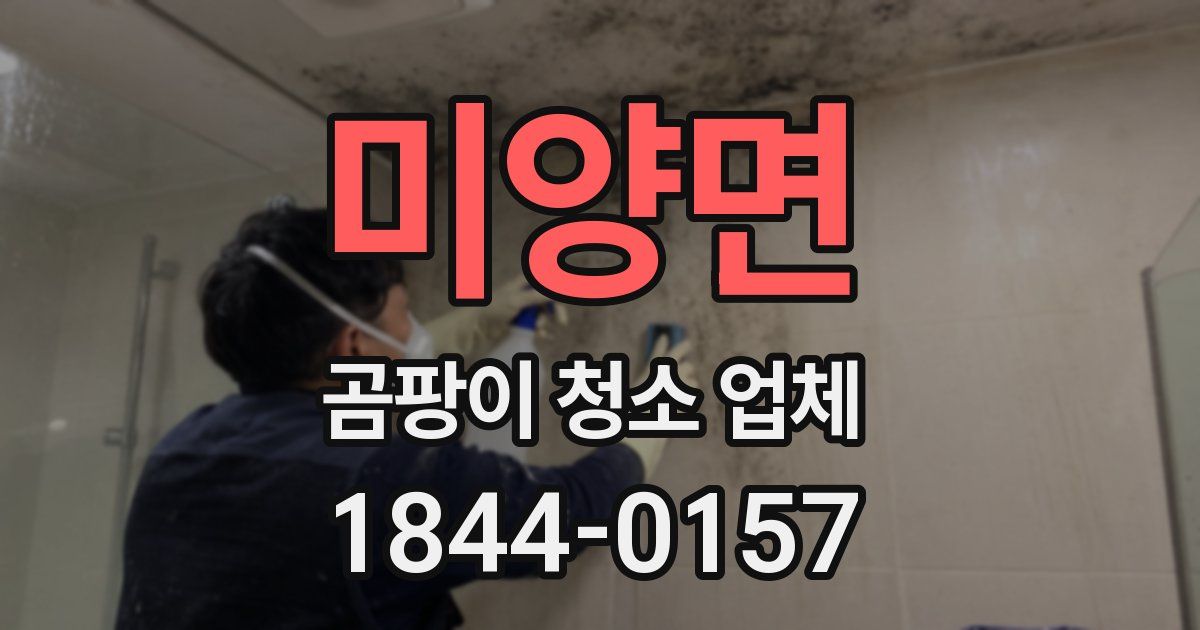 미양면 곰팡이 청소 업체