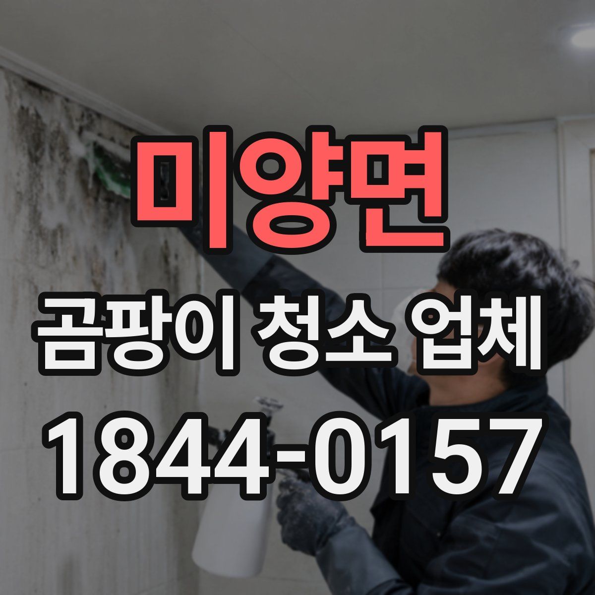 미양면 곰팡이 청소 업체