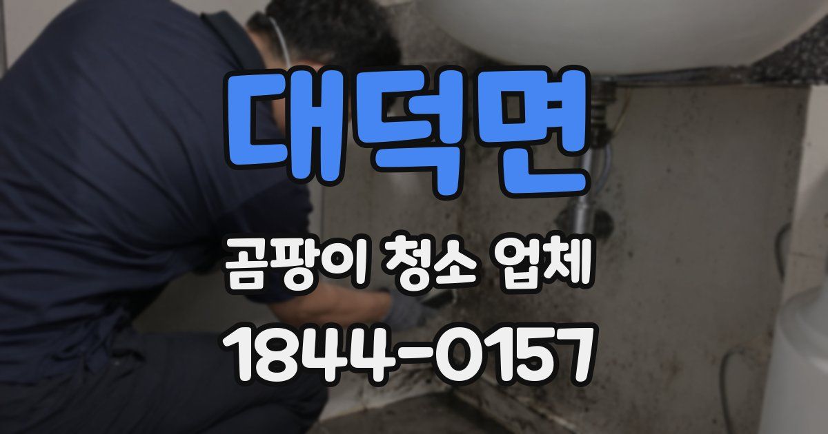 대덕면 곰팡이 청소 업체