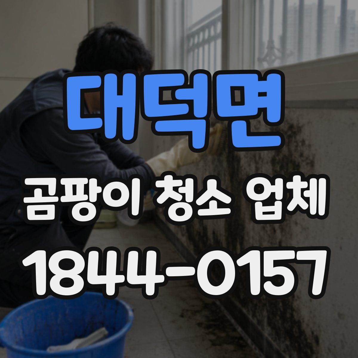 대덕면 곰팡이 청소 업체