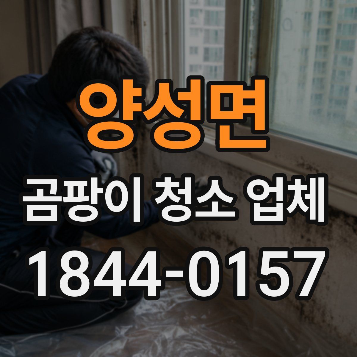 양성면 곰팡이 청소 업체