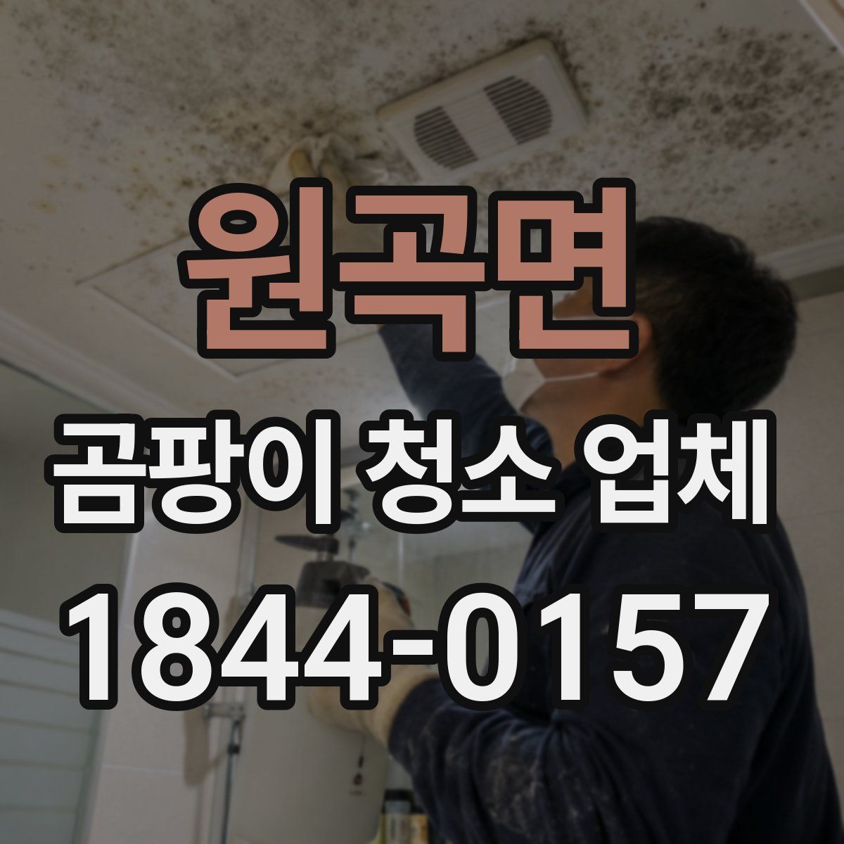 원곡면 곰팡이 청소 업체