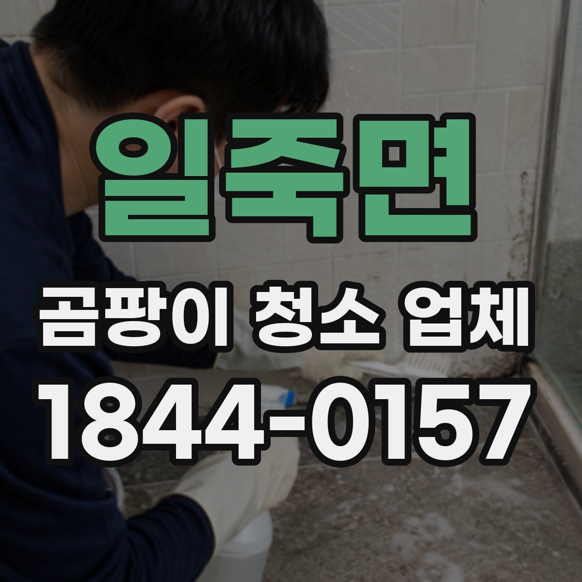 일죽면 곰팡이 청소 업체