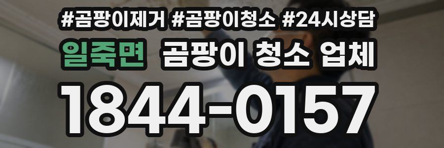 일죽면 곰팡이 청소 업체