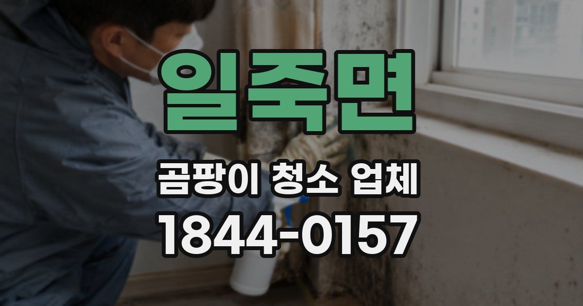 일죽면 곰팡이 청소 업체