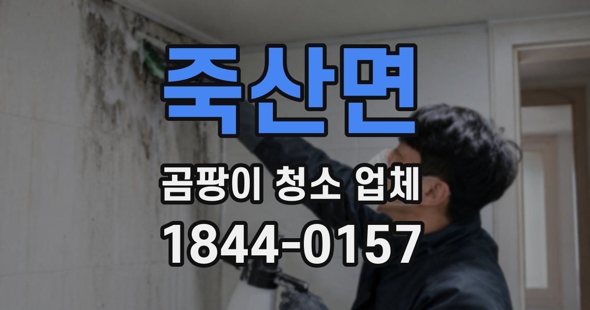 죽산면 곰팡이 청소 업체