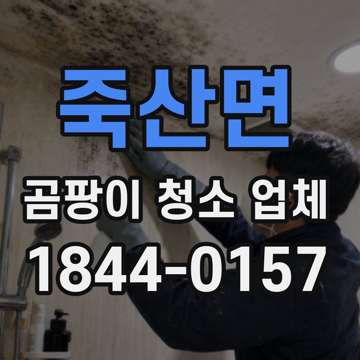 죽산면 곰팡이 청소 업체
