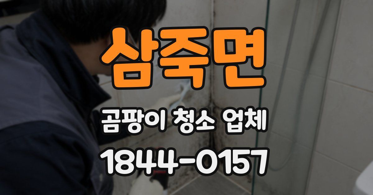 삼죽면 곰팡이 청소 업체