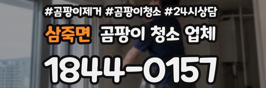 삼죽면 곰팡이 청소 업체