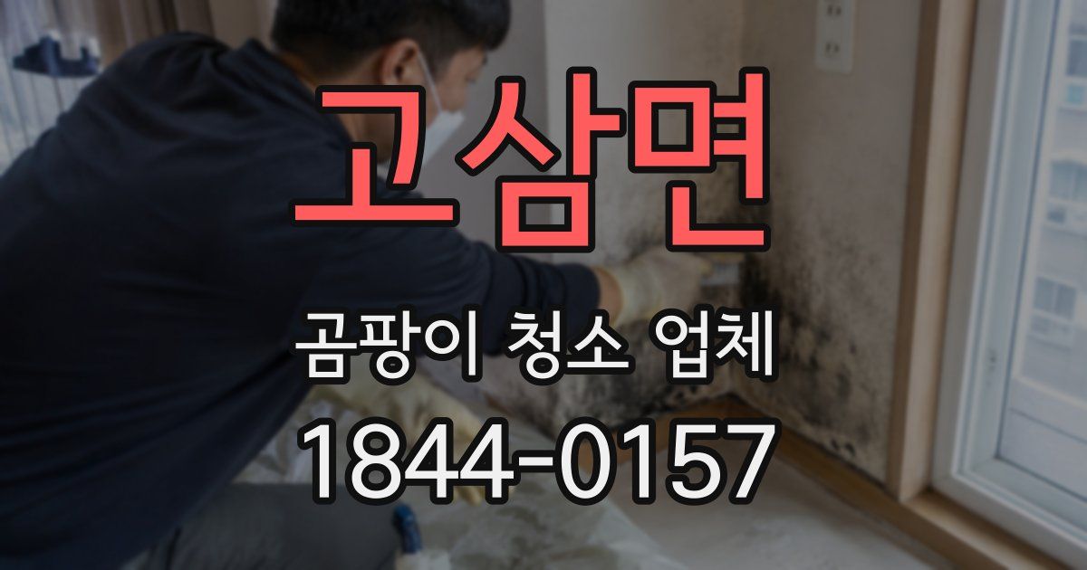 고삼면 곰팡이 청소 업체