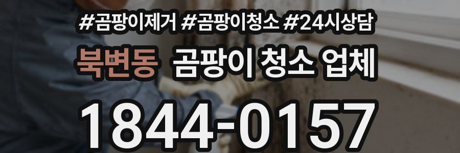 북변동 곰팡이 청소 업체