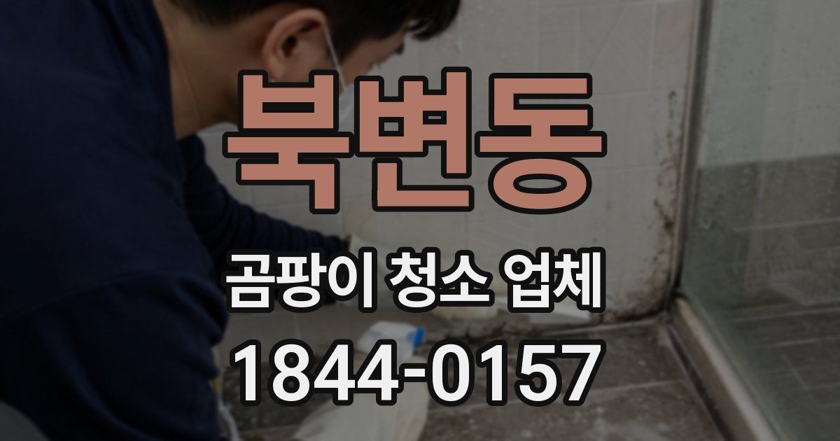 북변동 곰팡이 청소 업체