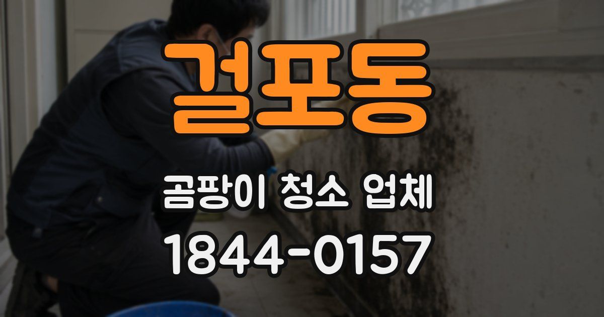 걸포동 곰팡이 청소 업체