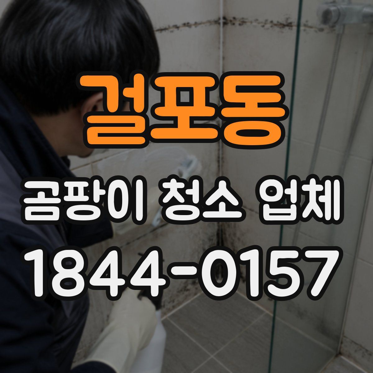 걸포동 곰팡이 청소 업체