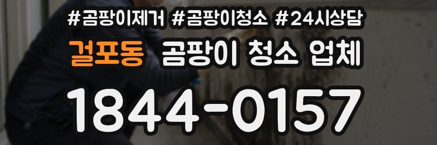걸포동 곰팡이 청소 업체