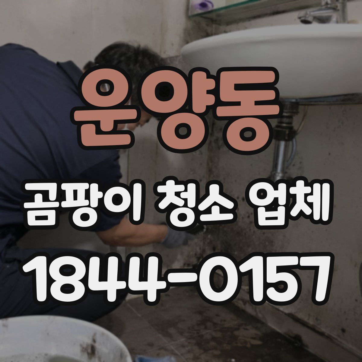 운양동 곰팡이 청소 업체